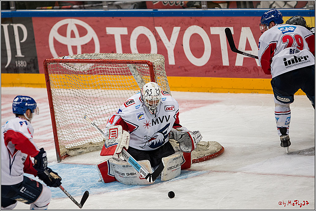 DEL, Koelner Haie - Adler Mannheim, 05.02.2017